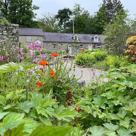 Crug Yr Eryr Isaf Villa Llandysul Exterior foto