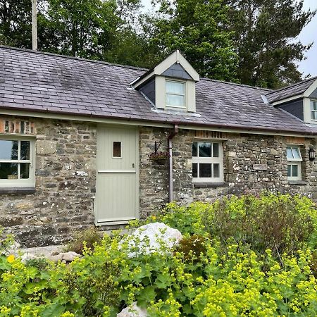 Crug Yr Eryr Isaf Villa Llandysul Exterior foto