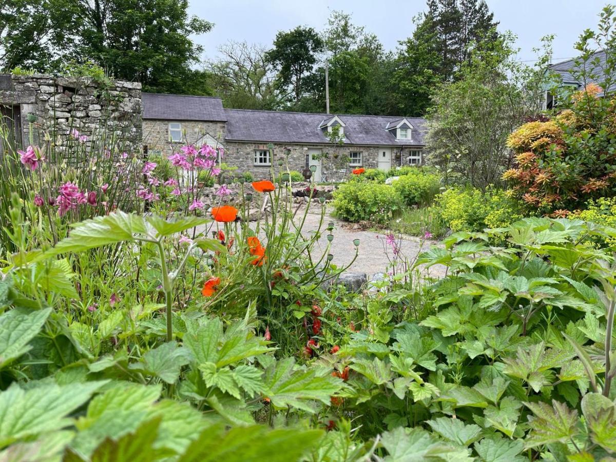 Crug Yr Eryr Isaf Villa Llandysul Exterior foto